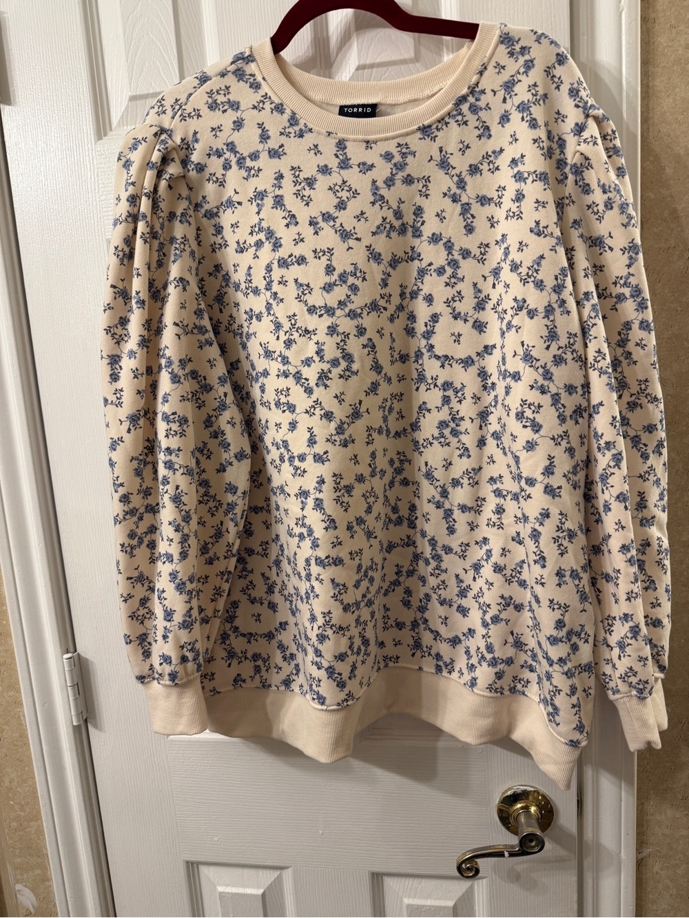 Torrid Cream Floral Puff-Sleeve Sweatshirt